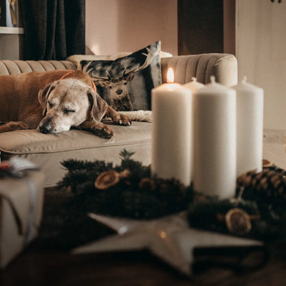 Pawsome Christmas Geschenk Set