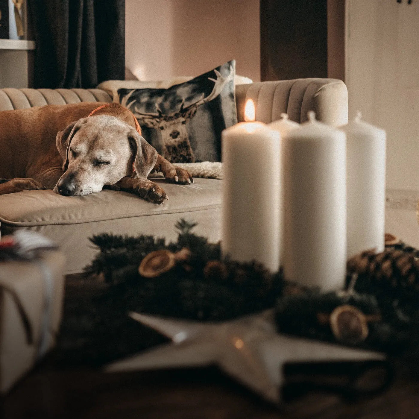 Pawsome Christmas Deluxe Geschenk Box