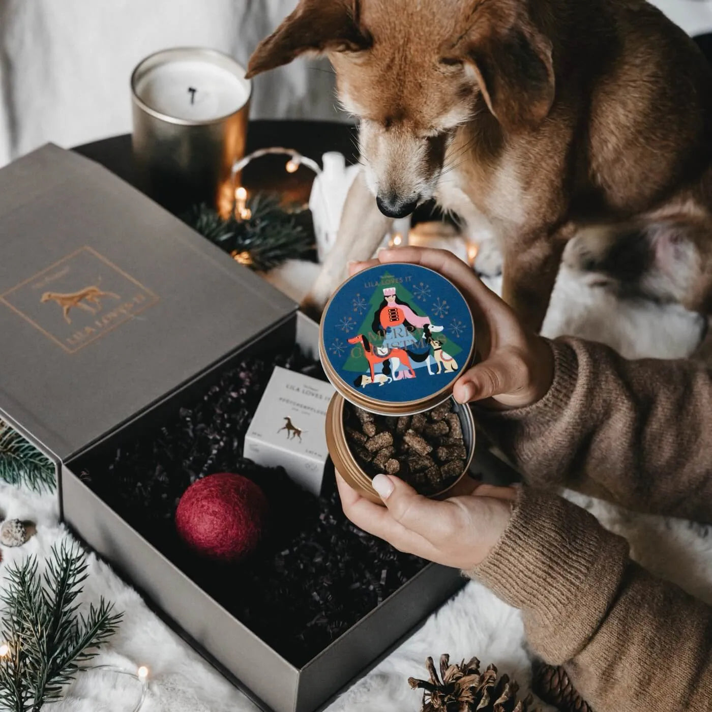 Pawsome Christmas Deluxe Geschenk Box