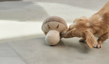 Schnüffelspielzeug Foresta Pilz