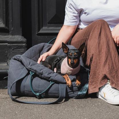 Hundetragetasche & Hundeautositz Slate Grey