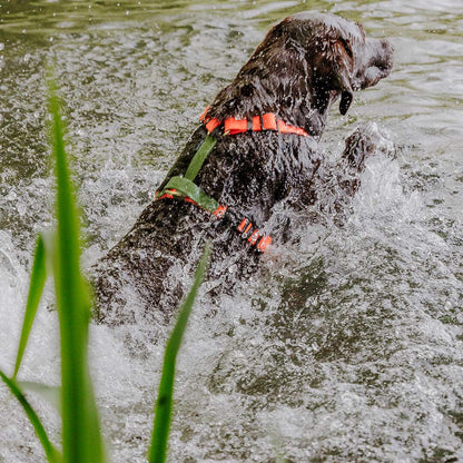 Hundegeschirr Outdoor Flex mit Haltegriff Orange/Grün