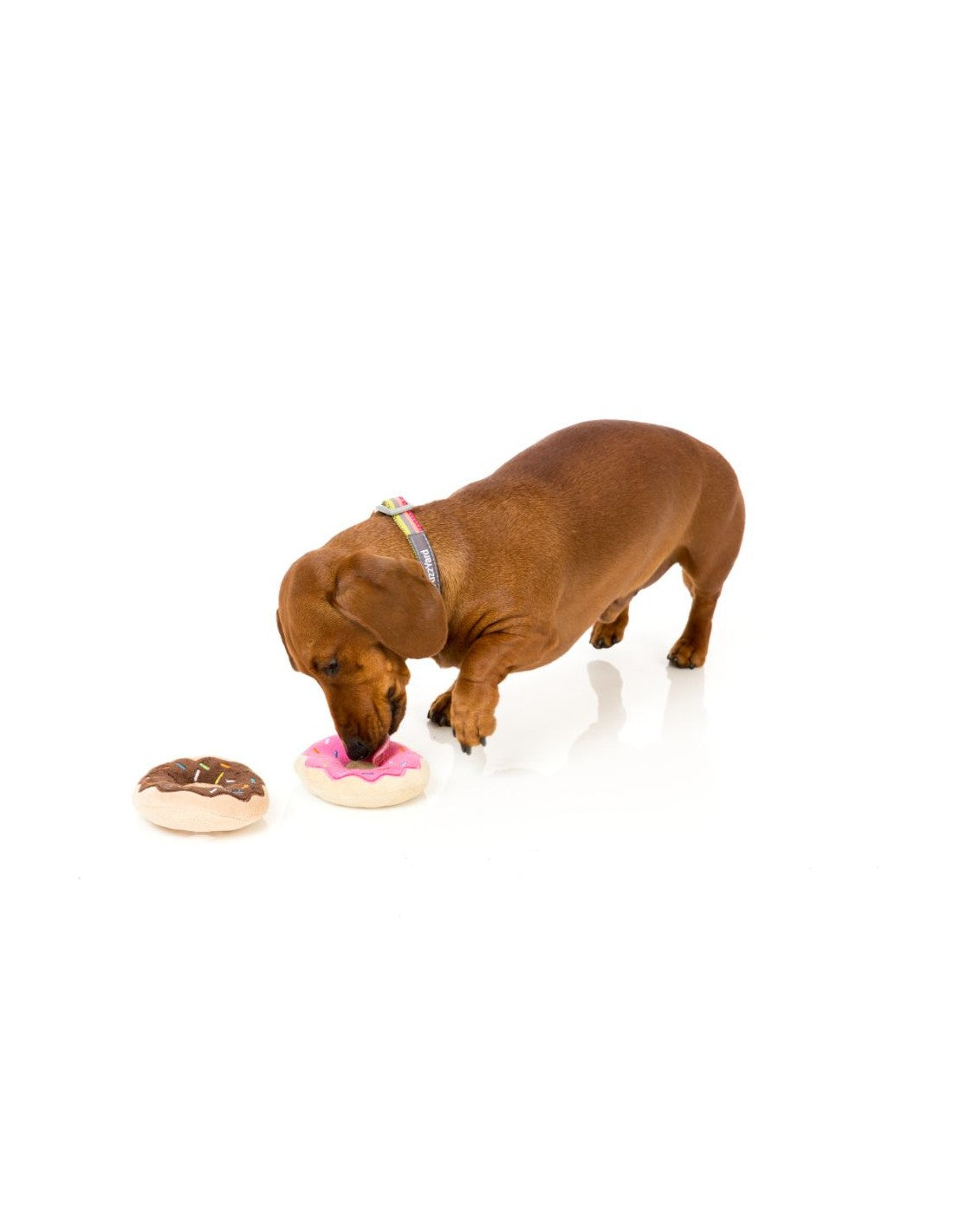 Hundespielzeug Donuts 2er Pack
