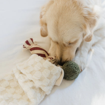 Hundespielzeug Weihnachtsstrumpf XMAS Set