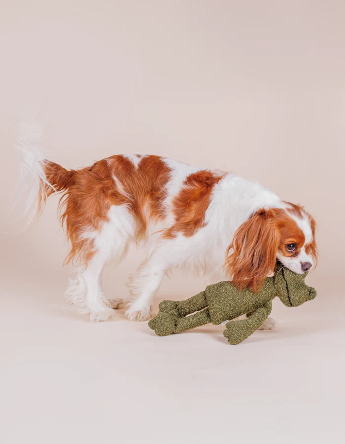 Hundespielzeug Greta der Frosch