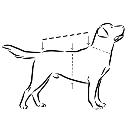 Regenmantel für Hunde  Visibility Dark Schwarz
