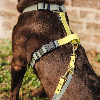 Hundegeschirr Outdoor Flex mit Haltegriff Lemon/Seagrass