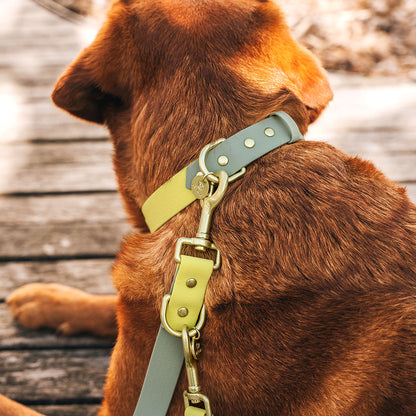 Hundehalsband Outdoor Flex Lemon/Seagrass