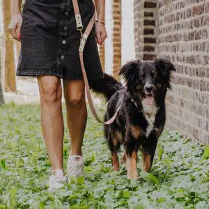 Hundegeschirr Outdoor Flex mit Haltegriff Mocca/Mousse