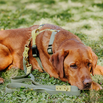Hundegeschirr Outdoor Flex mit Haltegriff Lemon/Seagrass