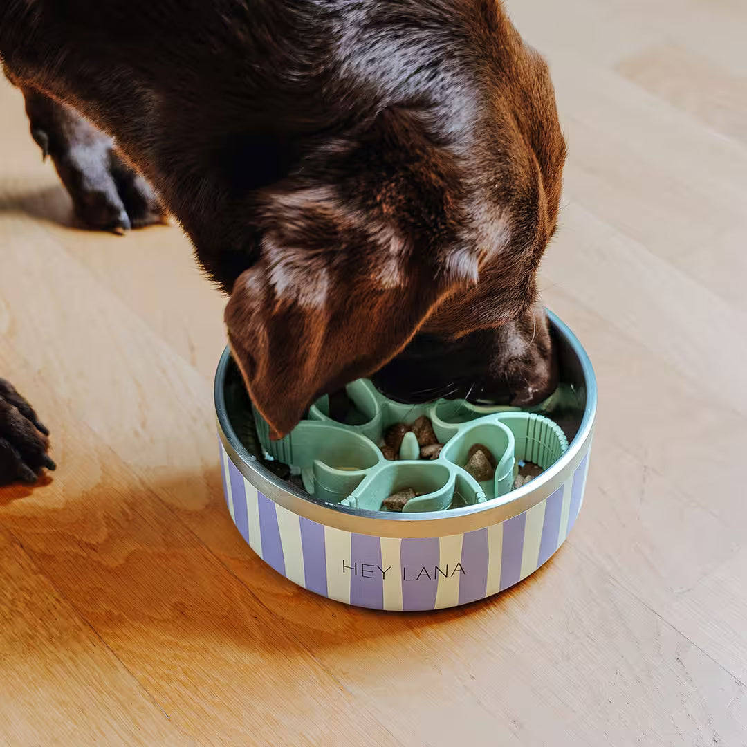 Antischlingeinsatz Gourmet Bremse