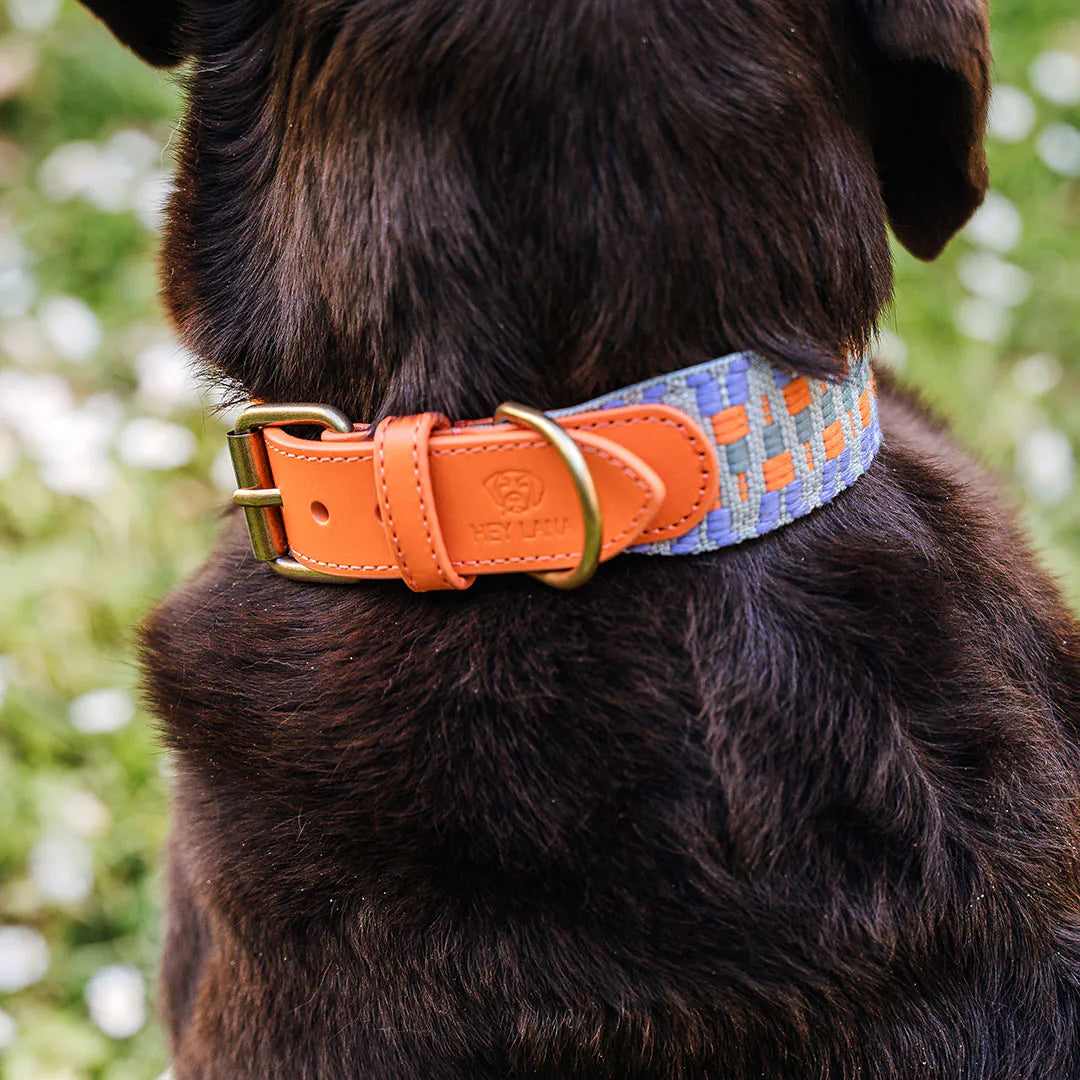 Hundehalsband Gepolstert Sunset/Eukalyptus