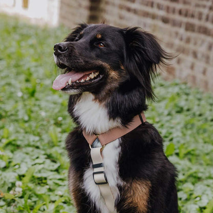 Hundegeschirr Outdoor Flex mit Haltegriff Mocca/Mousse