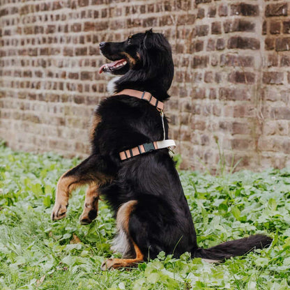Hundegeschirr Outdoor Flex mit Haltegriff Mocca/Mousse