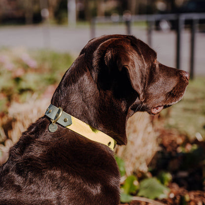 Hundehalsband Outdoor Flex Lemon/Seagrass