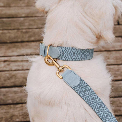 Hundehalsband Gepolstert Anthrazit/Eisblau