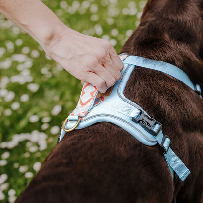 Hundegeschirr Gepolstert Coral/Blau