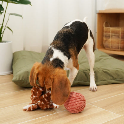 Hund mit Fawn Pop Quietschball