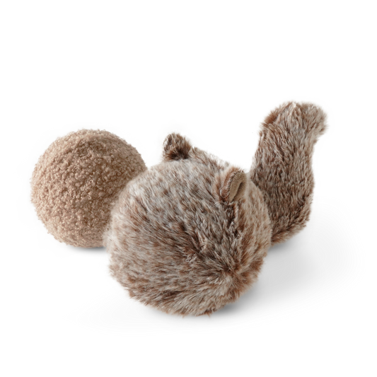 Hundespielzeug Squirrel Pop von LAMBWOLF