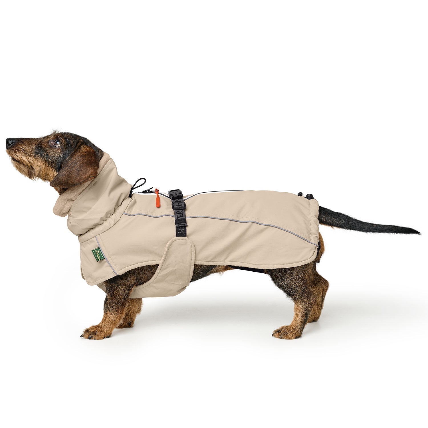 HUNTER Hundemantel Nordby Dackel Creme – Produktansicht 1