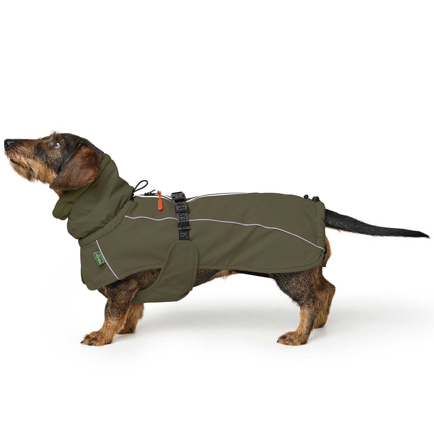 HUNTER Hundemantel Nordby Dackel Oliv – Produktansicht