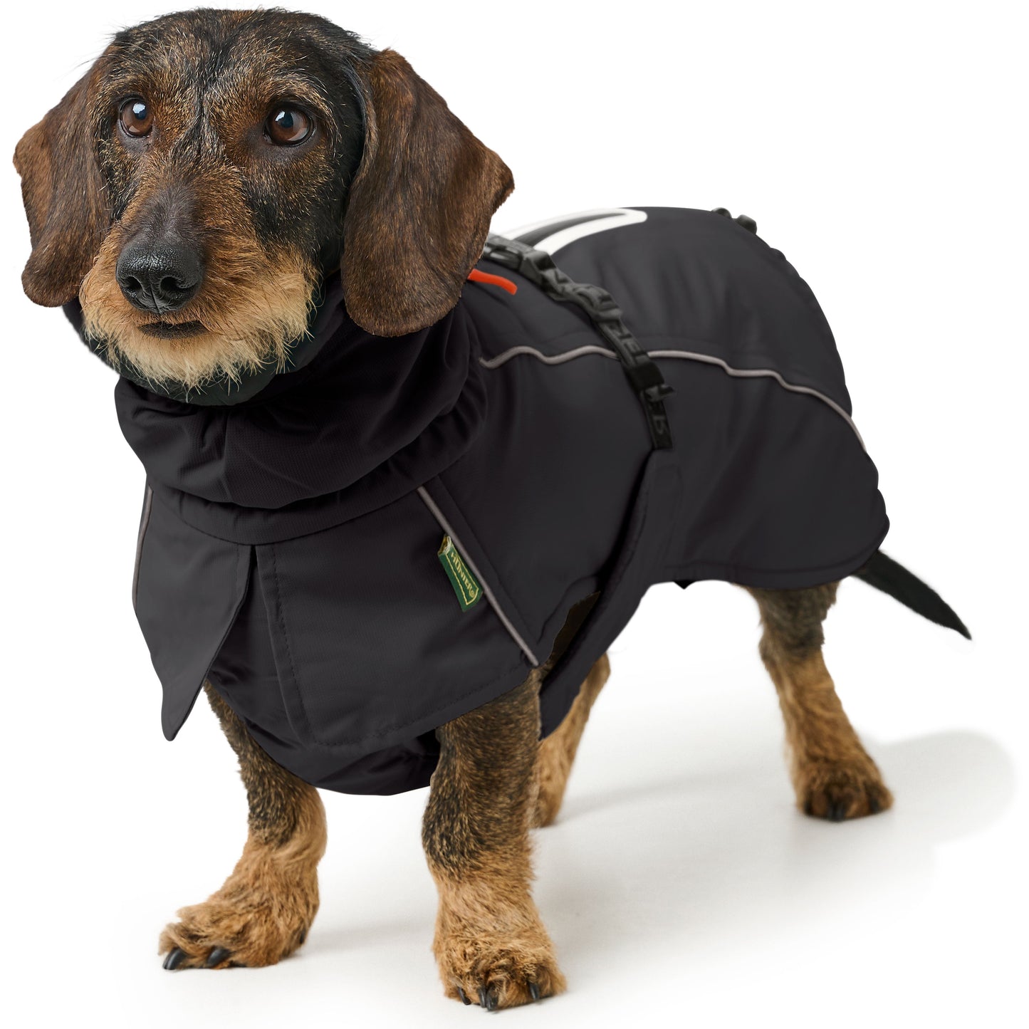 HUNTER Hundemantel Nordby Dackel Schwarz – Produktansicht 2