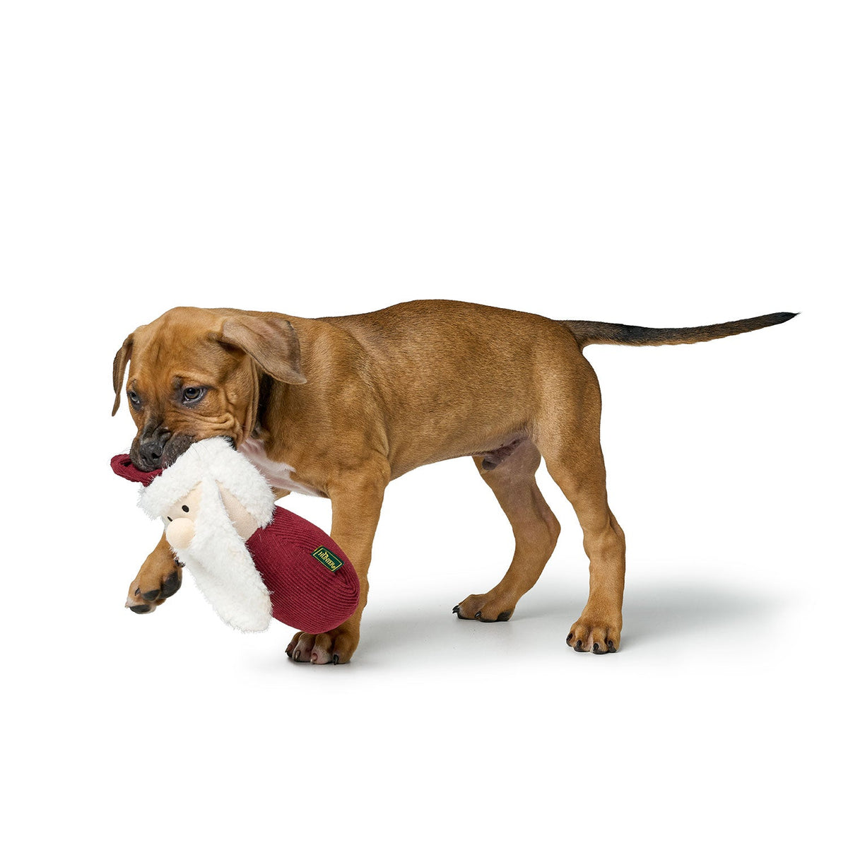 HUNTER Sitka Weihnachtsmann – roter Weihnachtsmann mit weißem Bart, beim Spielen mit Hund