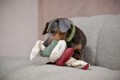 Hundespielzeug BLOCS Christmas Edition