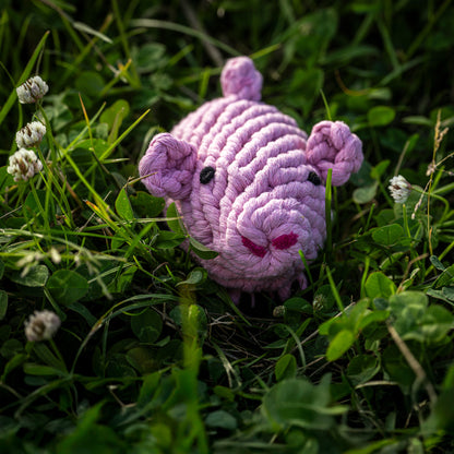 LABONI Piggy Pig – Hundespielzeug aus Baumwolltau im Gras