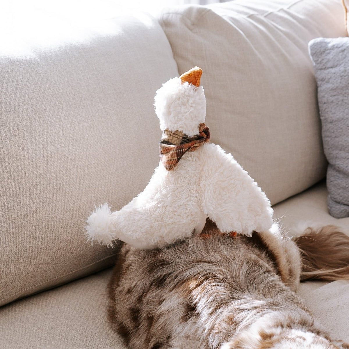 LAMBWOLF GUS – GUS Gans mit kariertem Halstuch auf dem Sofa