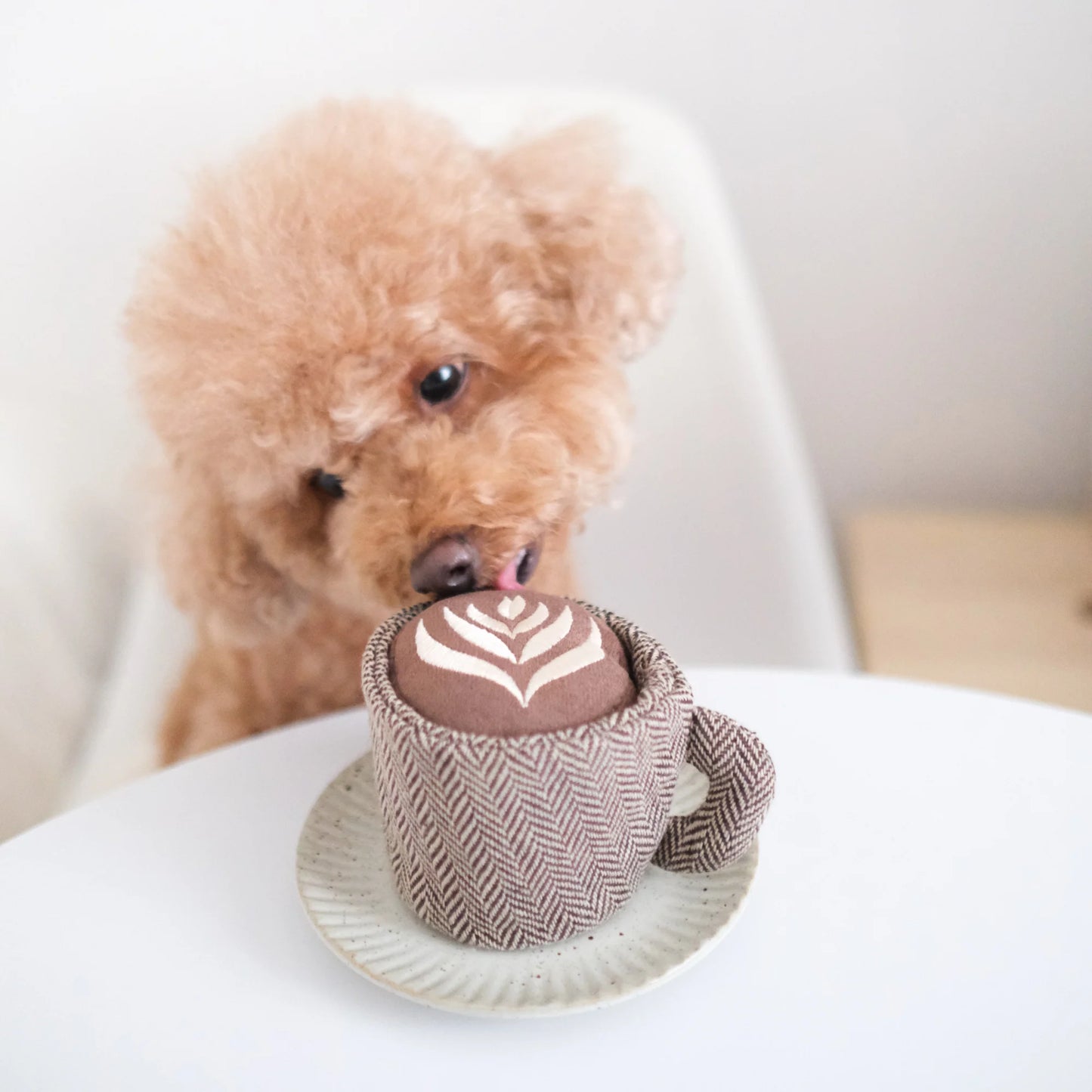 Hundespielzeug Latte POP