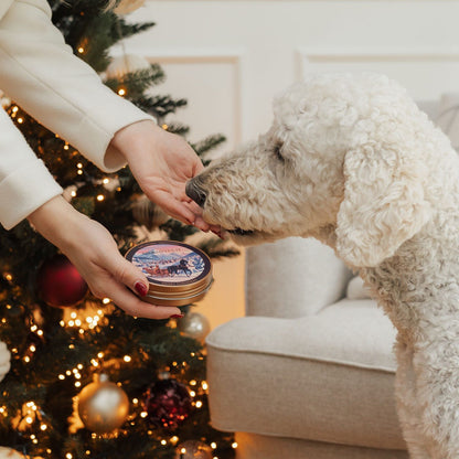 LILA LOVES IT Kokos-Vanille-Sternchen 2026 – Hund wird vor dem Weihnachtsbaum belohnt