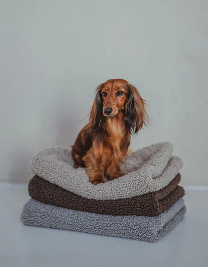 Hundedecke Hygge Bouclé Greige