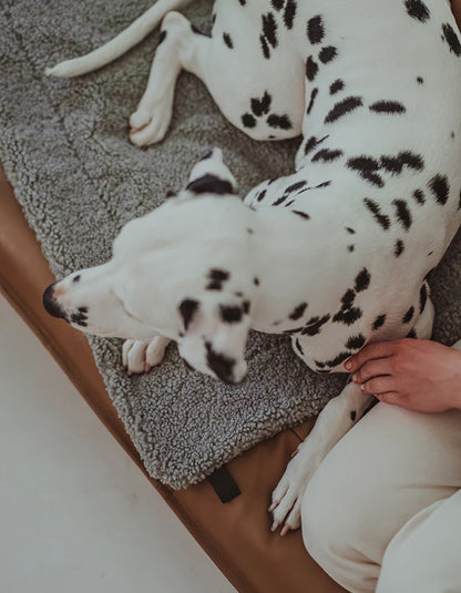 Hundedecke Hygge Bouclé Steingrau