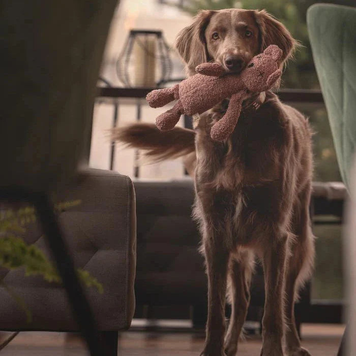 Hundespielzeug Berty der Bär Dusty pink