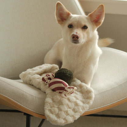 Hundespielzeug Weihnachtsstrumpf XMAS Set