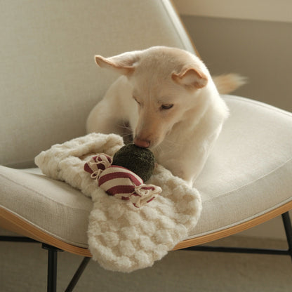 Hundespielzeug Weihnachtsstrumpf XMAS Set