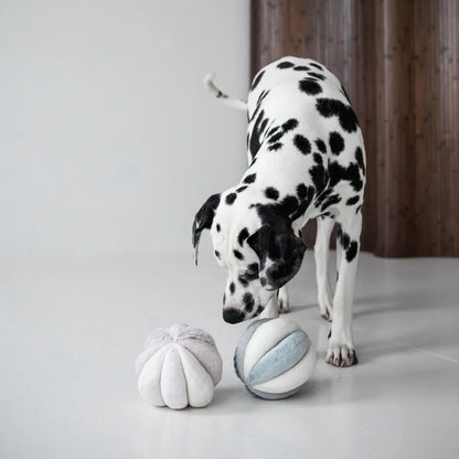 Schnüffelball Toto Marine