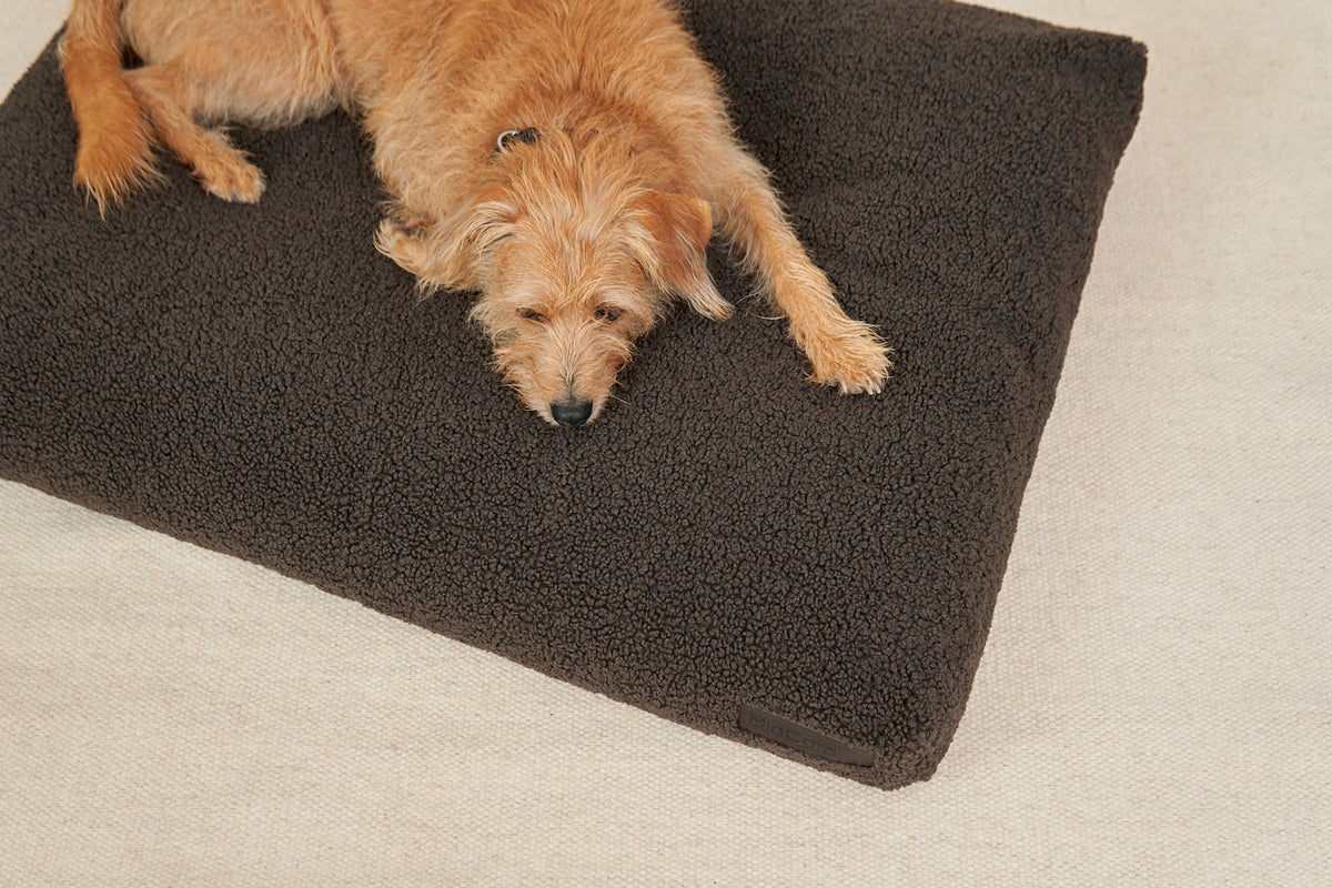 Hund auf dem MIACARA Hundekissen Senso Schokolade – weicher Bouclé und Liegekomfort