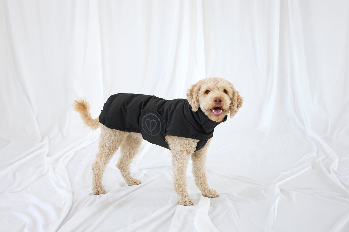 PALOPA Hundewintermantel Nolia Kurz Schwarz – Produktansicht 10