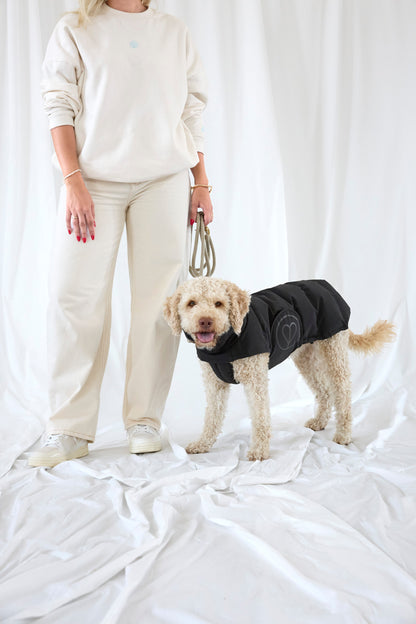PALOPA Hundewintermantel Nolia Kurz Schwarz – Produktansicht 14