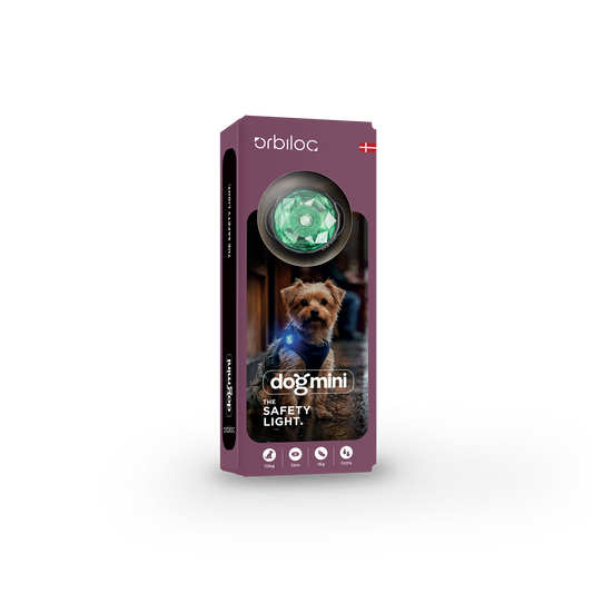 ORBILOC Dog MINI Mint – LED-Hundelicht in mintgrün, Verpackungsansicht
