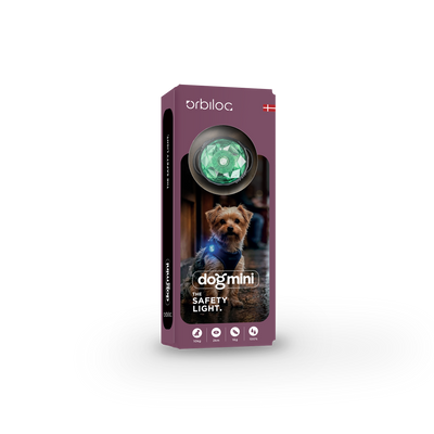 Sicherheitslicht Dog MINI Mint
