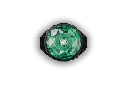 ORBILOC Dog MINI Mint – vergrößerte Ansicht mit Klettband