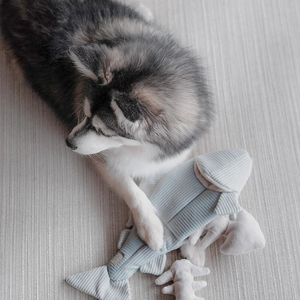 Hundespielzeug Forelle Trout