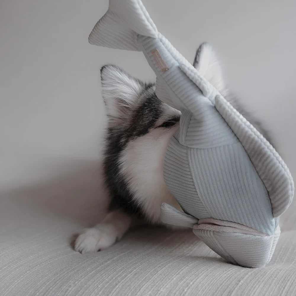 Hundespielzeug Forelle Trout