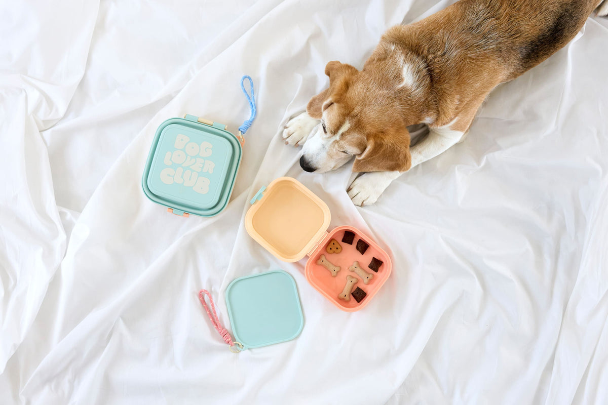 Snackbox Dobo Blue Haze – Anwendung