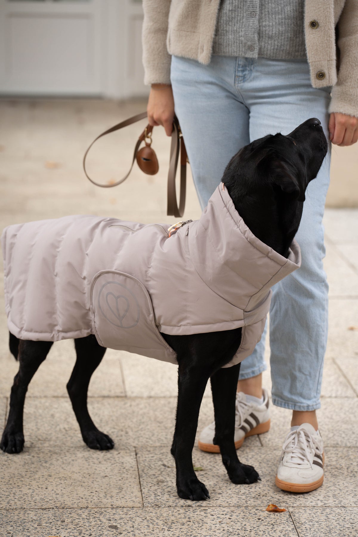 Schwarzer Labrador im hellen PALOPA-Wintermantel neben einer Person mit Leine
