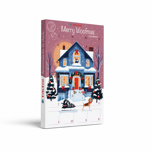 PETS BEST Adventskalender Snowman's Christmas Morning – Hauptansicht auf weißem Hintergrund
