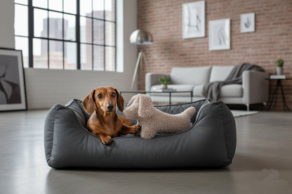 Hundespielzeug Plüschhund Dackel Tom